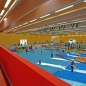 Timber element construction of gymnastics factory